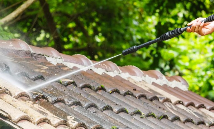 Veelvoorkomende Problemen Dakreiniging